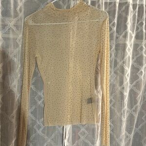 Sheer sparkle top